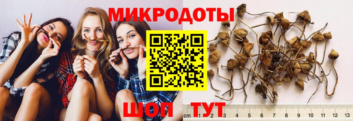 Псилоцибиновые грибы Psilocybine cubensis  Вход с VPN  сколько стоит  Белогорск  Галлюциногенные грибы мухоморы 
